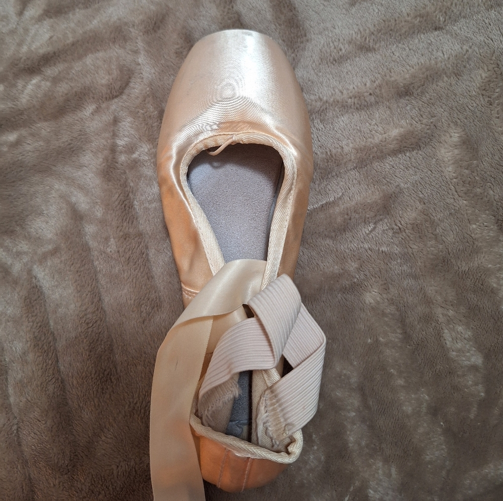 Bloch Pointe Shoes